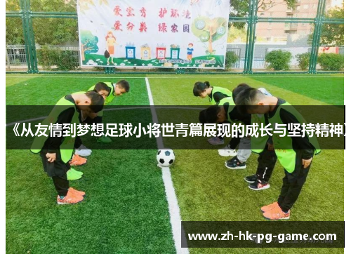 《从友情到梦想足球小将世青篇展现的成长与坚持精神》